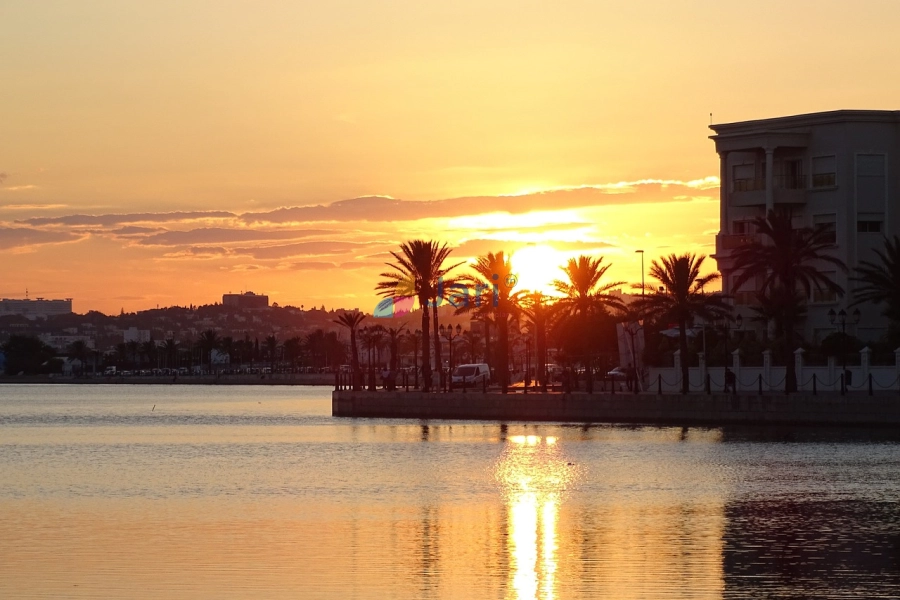 Tunis Lac I