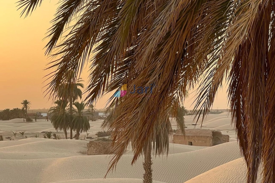 Douz - Village Zaafrane