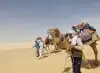 Photo 2 de Promenade à dos de chameau au lever ou au coucher du soleil dans le Sahara.
