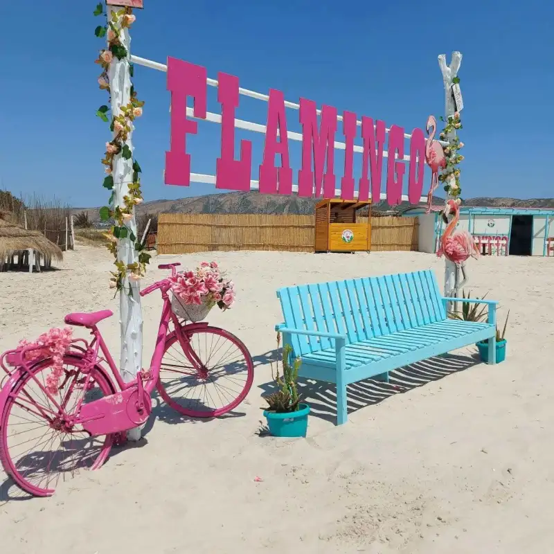 Photo 1 de Flamingo : Paillotte sur mer