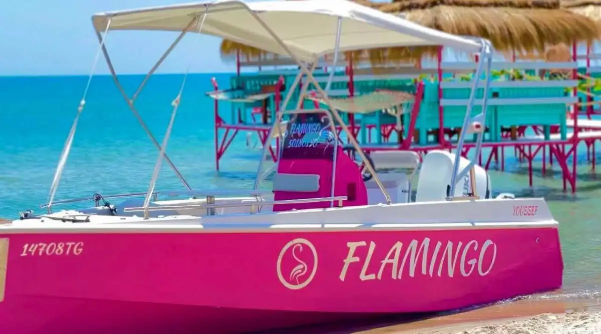 Photo 1 de Flamingo : Paillotte VIP