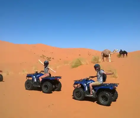 1h en quad dans le désert à Douz