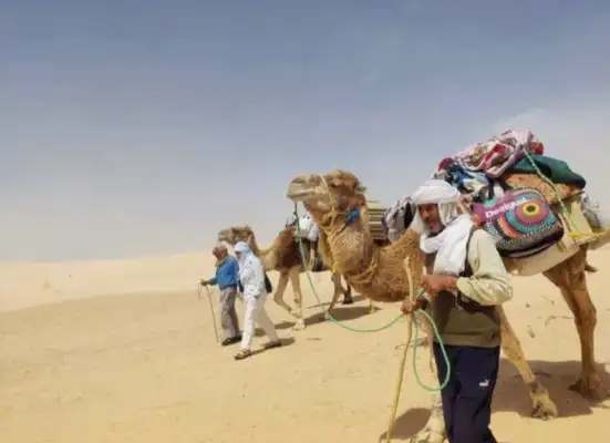 Promenade à dos de chameau au lever ou au coucher du soleil dans le Sahara.